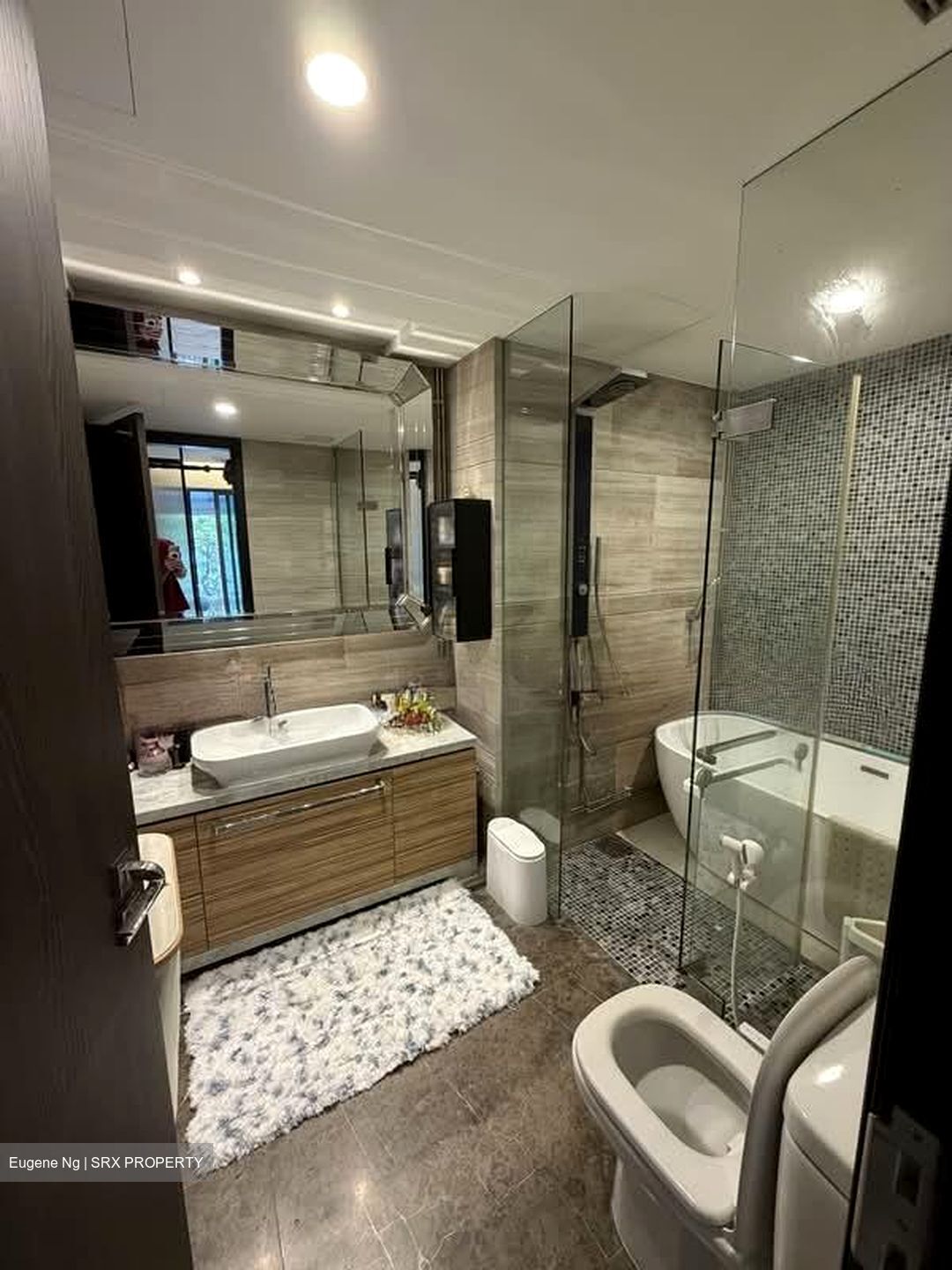Thomson Grand (D20), Condominium #530271081